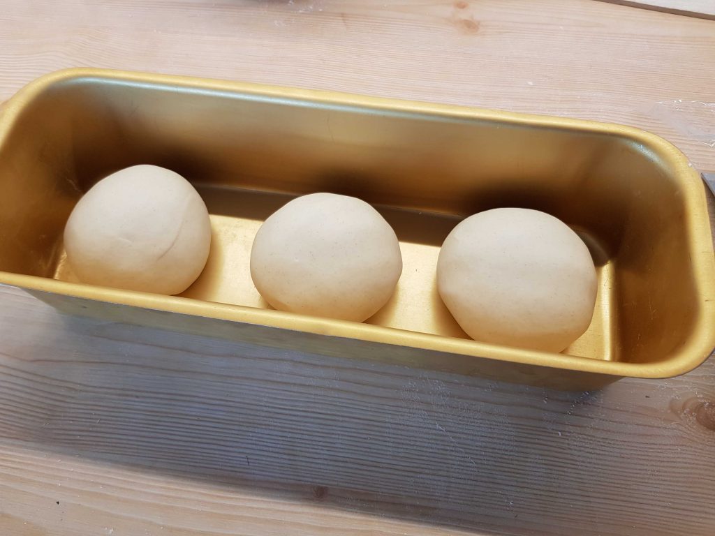Authentic Neapolitan pizza dough balls in a rising container