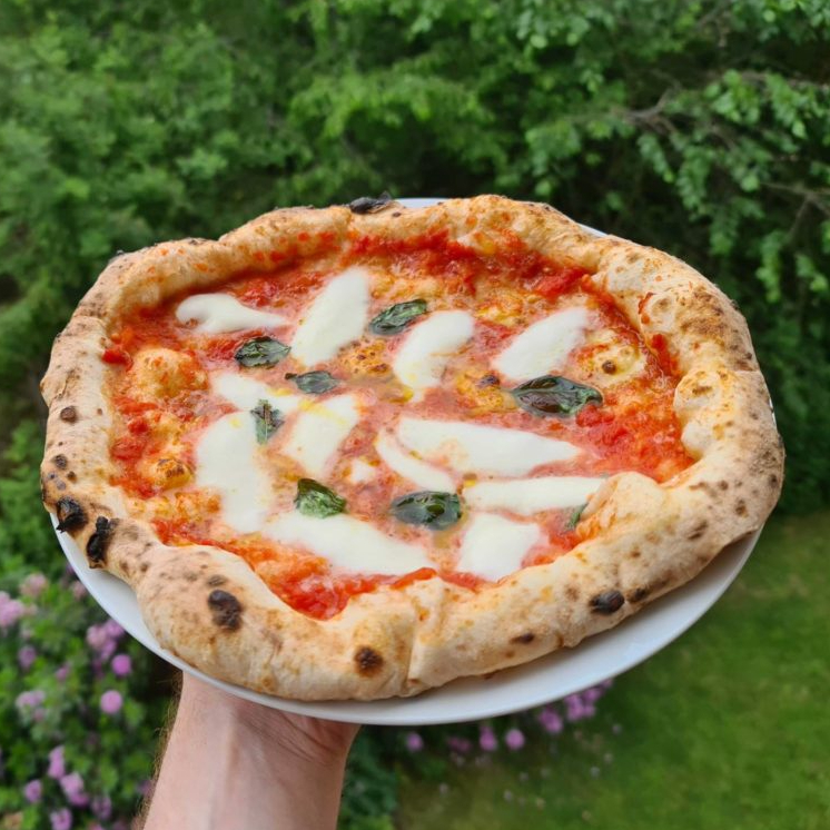TRADITIONAL FORK DOUGH MIXER FOR REAL NEAPOLITAN ITALIAN PIZZA DOUGH – La  Pizza Hub