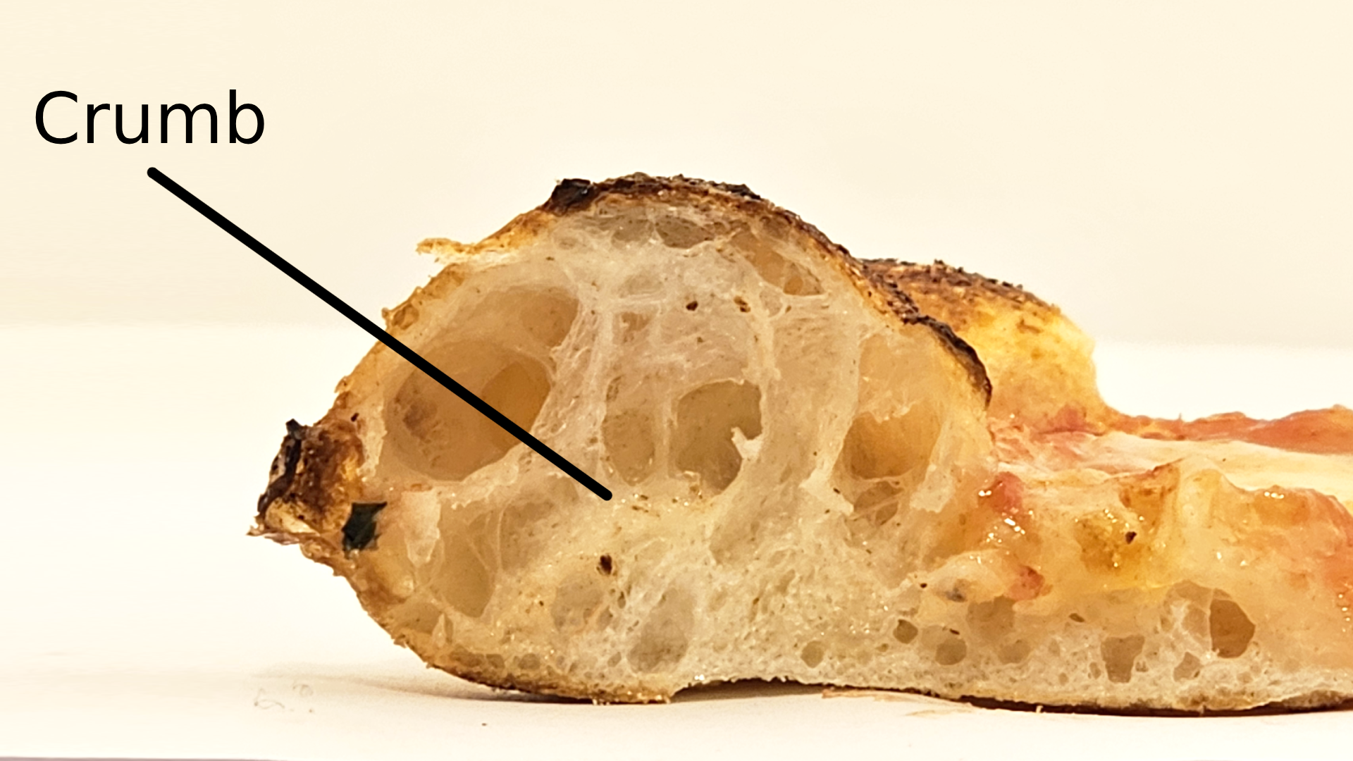 Open crumb of a Neapolitan pizza